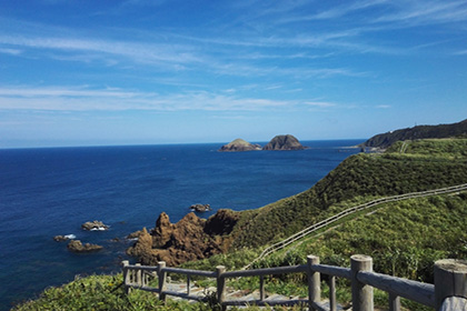 大野亀