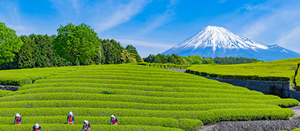 静岡県でカーシェアとレンタカーを比較して格安料金を見つけよう 